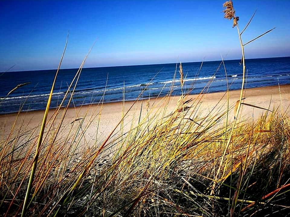 Dianos apartamentai Palanga Bagian luar foto